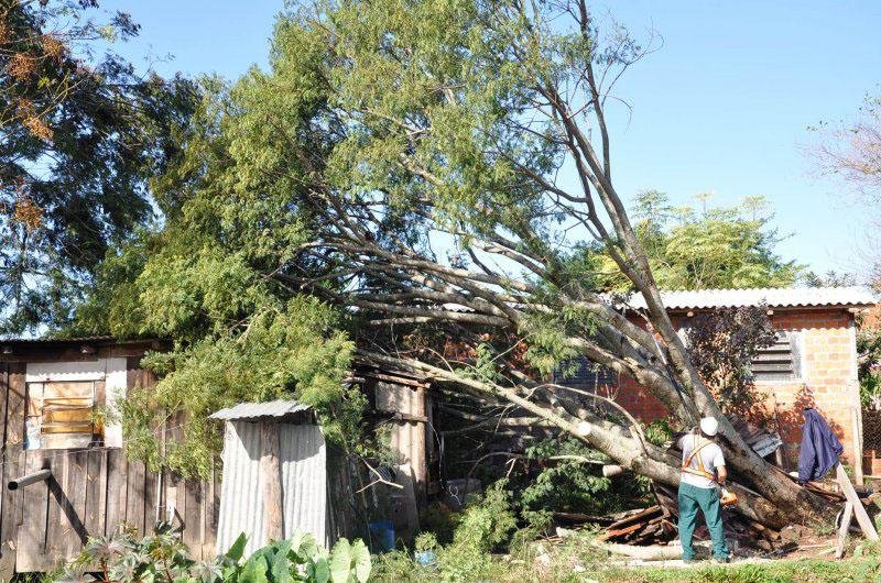Em Santa Maria, forte temporal derrubou &aacute;rvores e destruiu casas