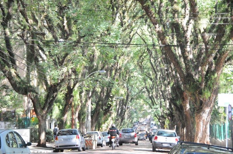Rua Gon&ccedil;alo de Carvalho &eacute; considerada a mais bonita do mundo devido ao seu t&uacute;nel verde