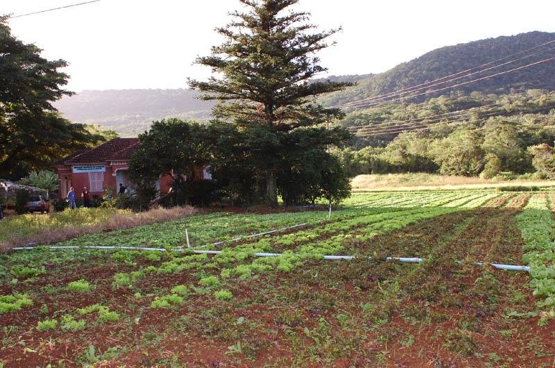&Aacute;rea de Morro Alto &eacute; alvo de disputa