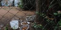 Sensiblizados, moradores haviam deixado água e comida para o Pitbull