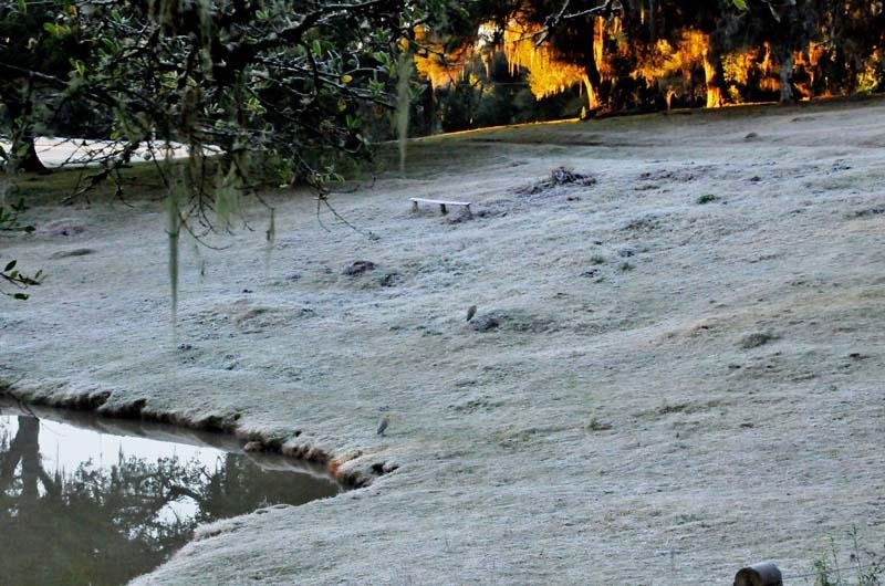 Tempo fica firme e com temperaturas baixas no Estado