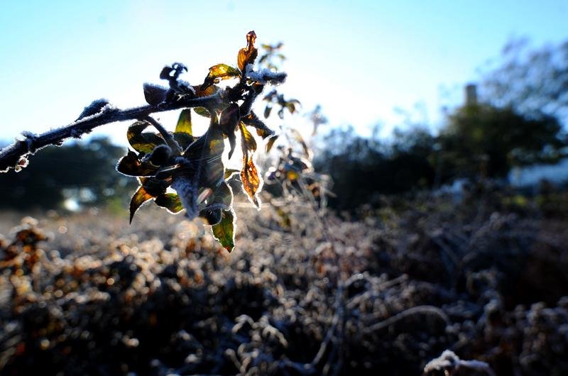 Geada forte do amanhecer deste s&aacute;bado 