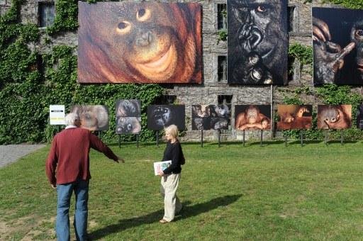 Imagens do Brasil s&atilde;o expostas em exposi&ccedil;&atilde;o na Fran&ccedil;a