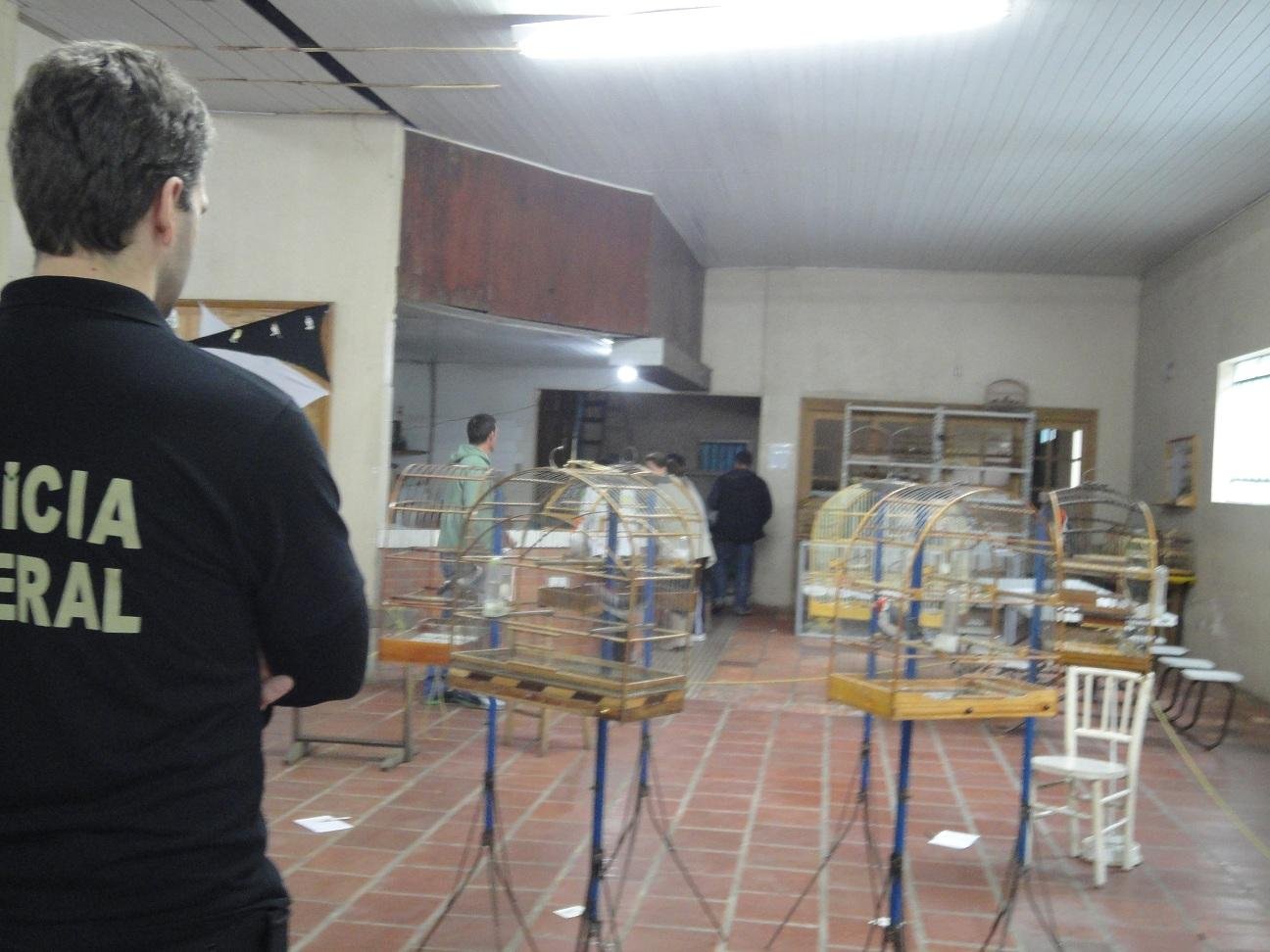 Opera&ccedil;&atilde;o Campe&atilde;o combate crimes contra a fauna