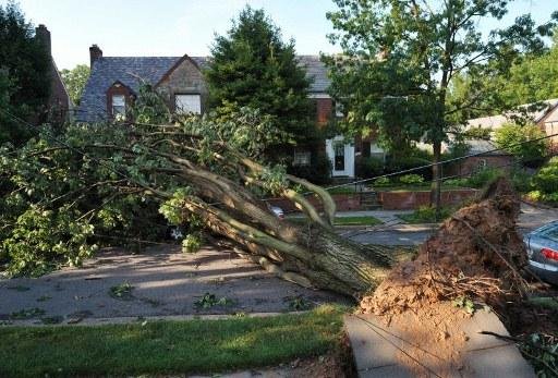 Rua &eacute; bloqueada por &aacute;rvore ap&oacute;s forte tempestade na regi&atilde;o Metropolitana de Washington