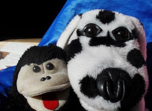 Teatro do Macaquinho, dias 24 e 27 de julho 
