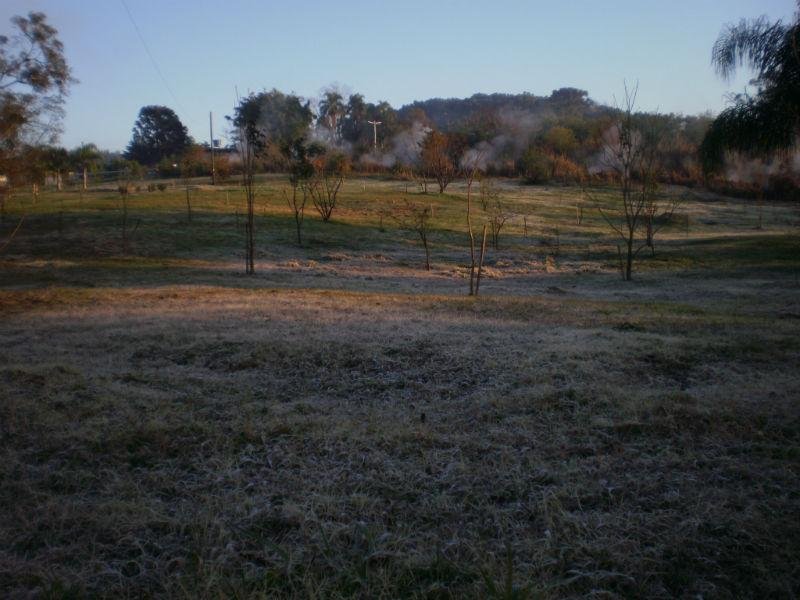 Santa Rosa registrou -3,1&deg;C e amanheceu com geada