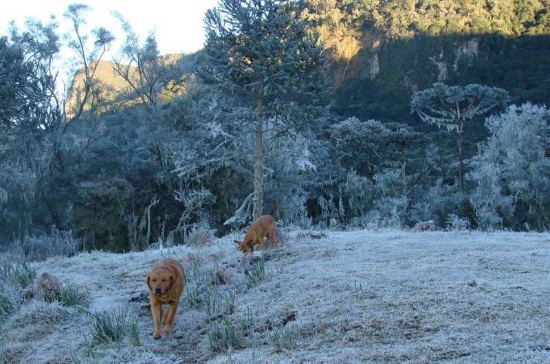 Prefeitura municipal est&aacute; prevendo neve para a pr&oacute;xima madrugada