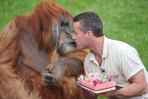 Zool&oacute;gico franc&ecirc;s atende aos caprichos de Major, como suco de laranja e achocolatado
