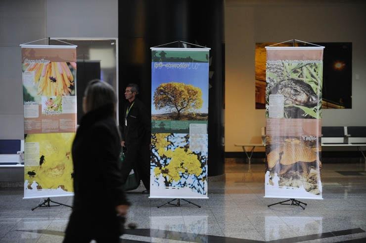 Exposi&ccedil;&atilde;o sobre fauna e flora do Estado ocorre at&eacute; 30 de julho no sagu&atilde;o do Aeroporto Salgado Filho