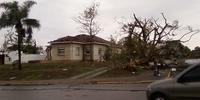 Fortes ventos derrubaram árvores, postes e danificaram casas em Santa Bárbara do Sul