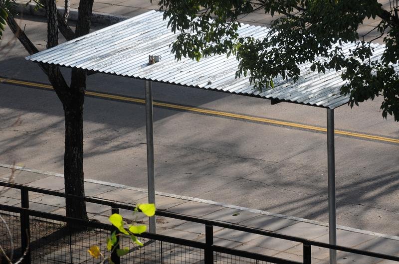 Passageiro de &ocirc;nibus avistou o artefato em cima da parada
