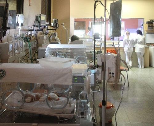 Beb&ecirc;s nasceram na segunda-feira em Cangu&ccedil;u