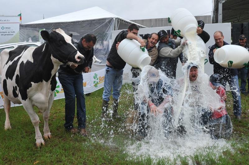 Granja estreante se consagra no tradicional banho de leite da Expointer