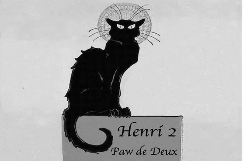 Filme sobre pensamentos de um gato vence Festival de V&iacute;deos de felinos