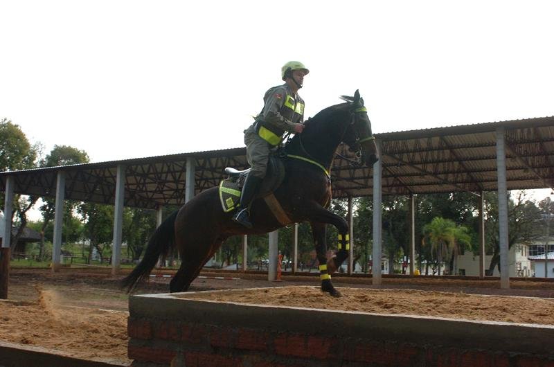 Cavalos produzidos pelo Criat&oacute;rio da Brigada Militar foram exibidos