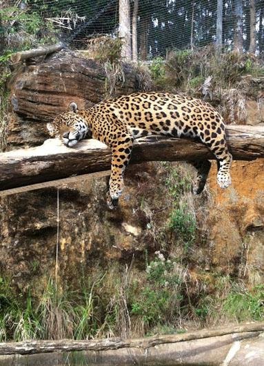 Foto de Sandra Almeida foi uma das vencedoras do concurso do Gramadozoo