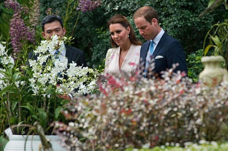 Casal iniciou em Cingapura uma grande viagem pela regi&atilde;o asi&aacute;tica