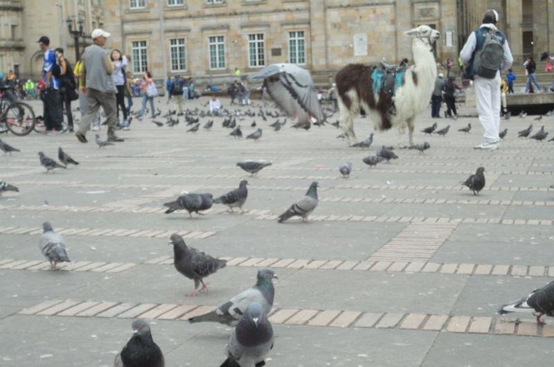 Pelas simp&aacute;ticas ruas de La Candelaria, tamb&eacute;m se conhece a principal pra&ccedil;a de Bogot&aacute;, a Bol&iacute;var