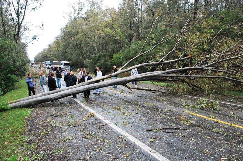 Tr&acirc;nsito ficou interrompido no km 563 da rodovia
