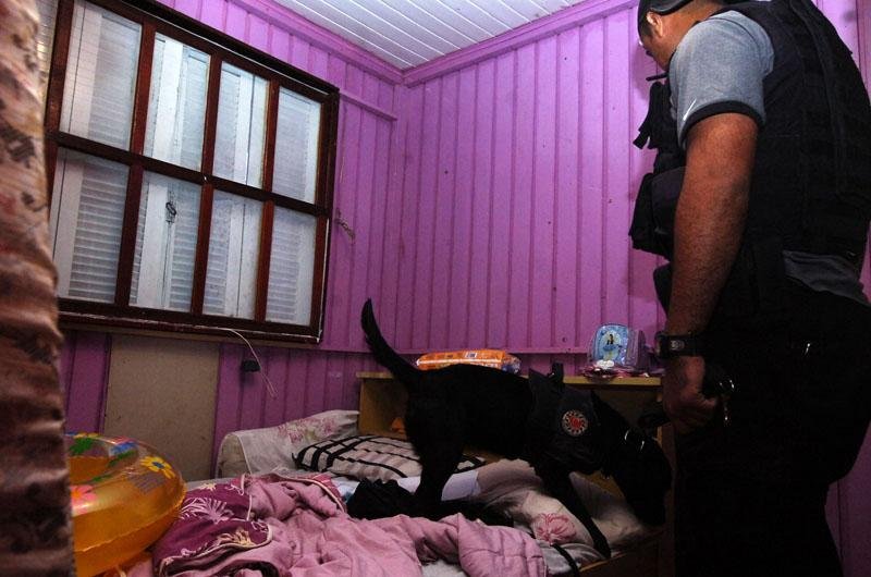 C&atilde;es auxiliam a pol&iacute;cia nas buscas