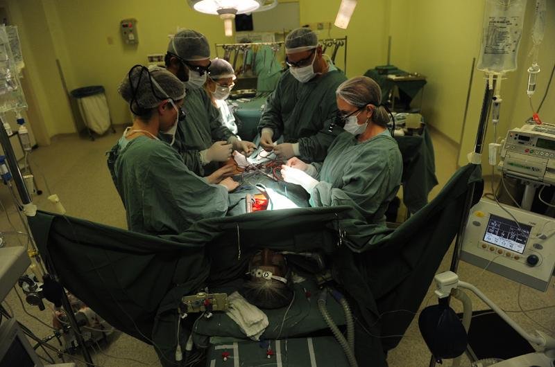 Dia do m&eacute;dico &eacute; oportunidade para reflex&atilde;o