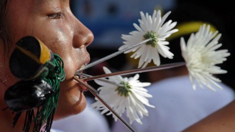 Seguidores de evento vegetariano celebraram purifica&ccedil;&atilde;o do corpo atrav&eacute;s da mutila&ccedil;&atilde;o