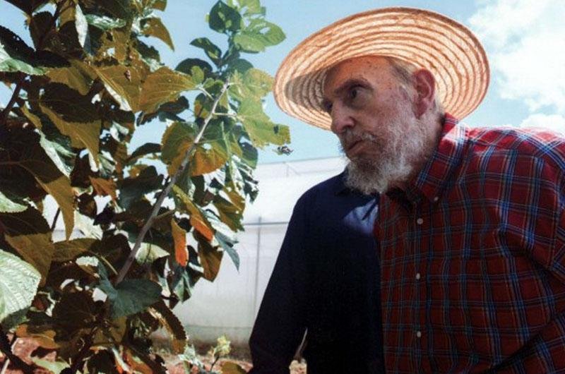 Ex-presidente apareceu para o p&uacute;blico e divulgou fotos para desmentir rumores de sua morte