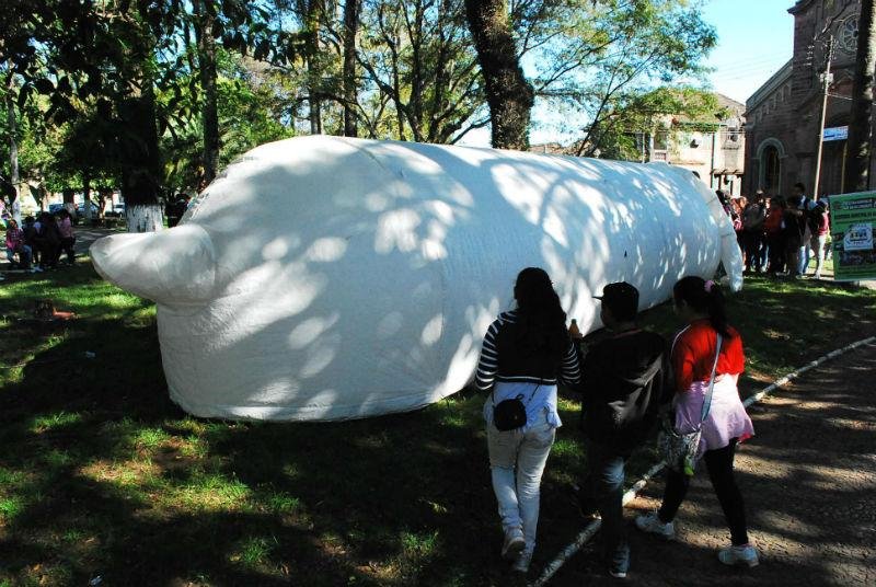 Camisinha gigante conscientiza adolescentes sobre doen&ccedil;as em Livramento