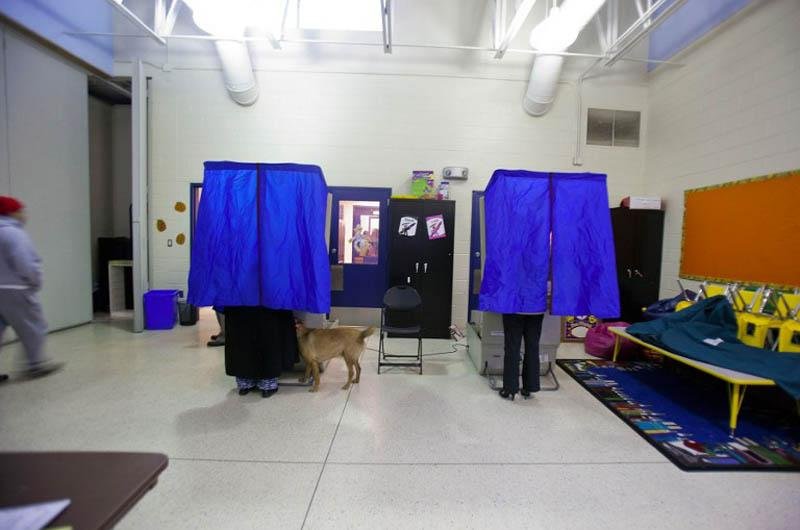 Eleitora teve a companhia do cachorro durante vota&ccedil;&atilde;o