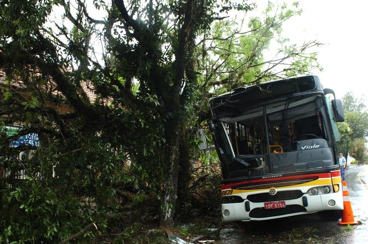 &Ocirc;nibus se chocou contra uma &aacute;rvore na zona Norte da Capital