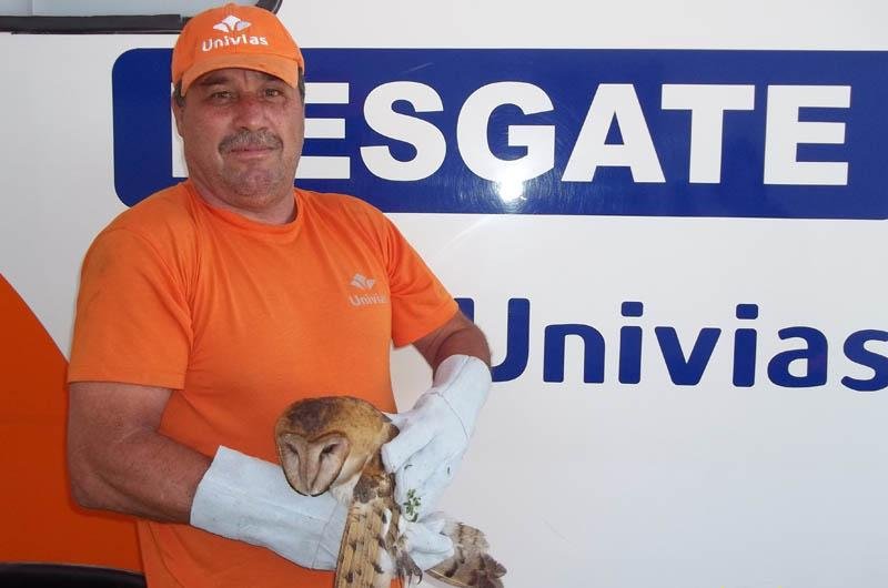 Funcion&aacute;rio do Cons&oacute;rcio Univias deu os primeiros socorros ao animal