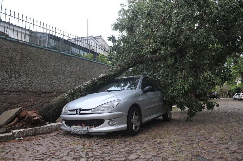 Quedas de &aacute;rvores causaram preju&iacute;zos em Porto Alegre
