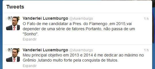 T&eacute;cnico usou o Twitter para se manifestar ap&oacute;s publica&ccedil;&atilde;o de entrevista