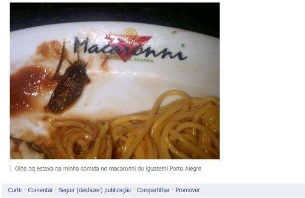 Internauta fotografou barata em prato de refei&ccedil;&atilde;o antes do Natal