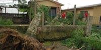 Árvore caiu sobre casa em Santa Maria, na Região Central