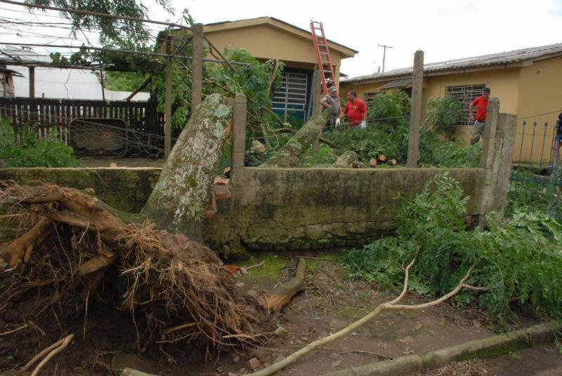 &Aacute;rvore caiu sobre casa em Santa Maria, na Regi&atilde;o Central