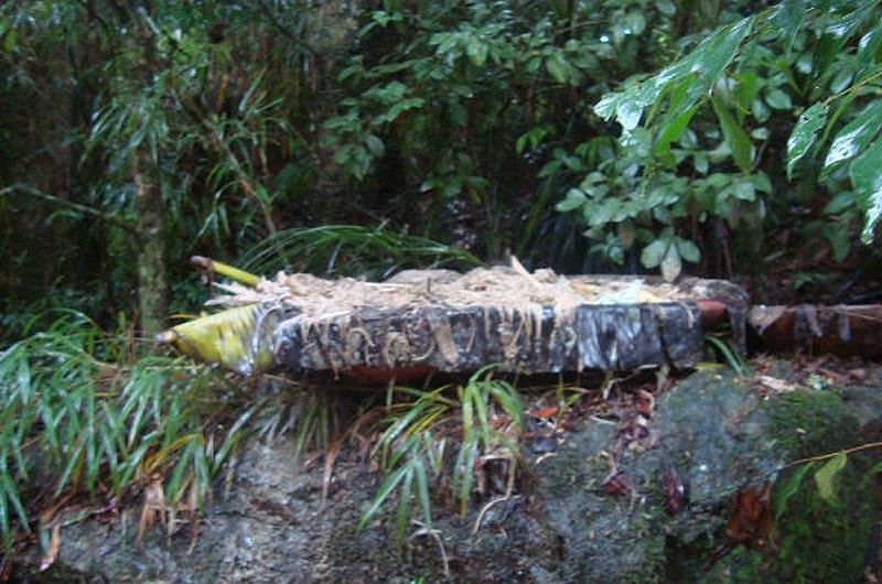 Respons&aacute;veis ser&atilde;o enquadrados por dano ambiental, risco &agrave; sa&uacute;de p&uacute;blica e crueldade contra animais