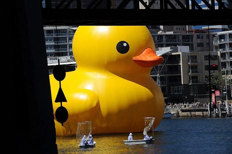 Pato de borracha transforma Ba&iacute;a de Sidney em &acute;banheira gigante`