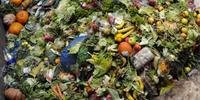 Mundo desperdiça quase metade dos alimentos produzidos, conforme estudo