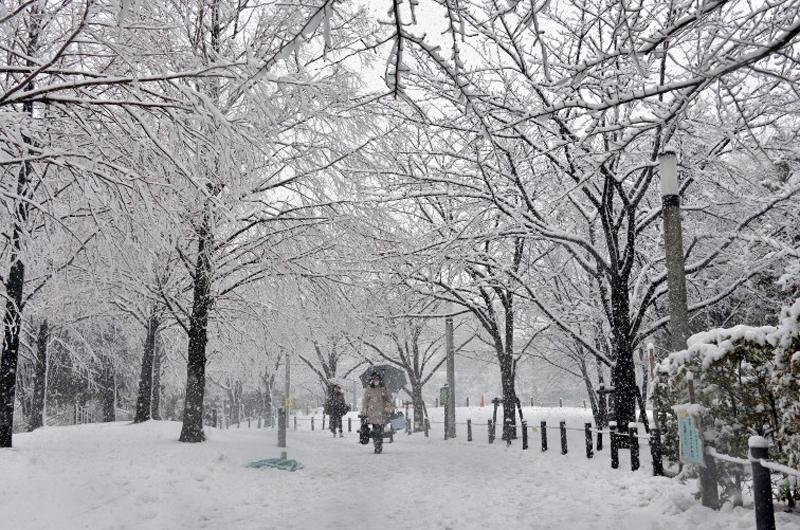 Nevasca lan&ccedil;ou sete cent&iacute;metros de neve na capital, informaram autoridades
