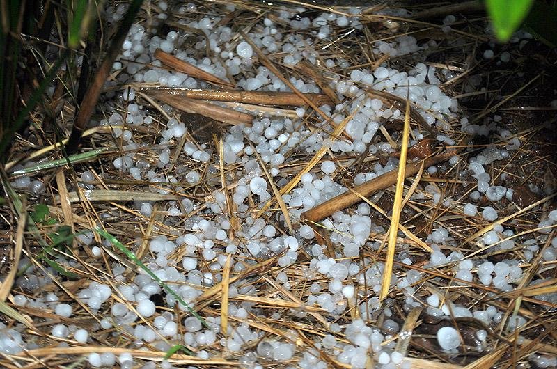Temporal de granizo assusta moradores em Erechim