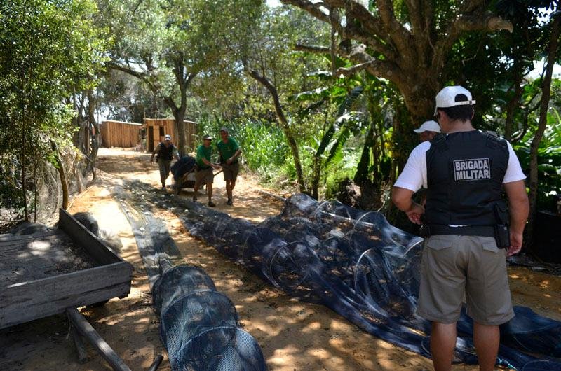  Duas pessoas foram detidas na opera&ccedil;&atilde;o