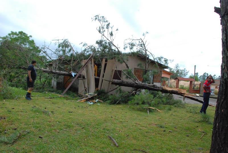 &Aacute;rvore caiu sobre &aacute;rvore em Passo do Verde
