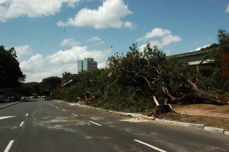 Derrubada de &aacute;rvores gerou protestos de moradores do Centro