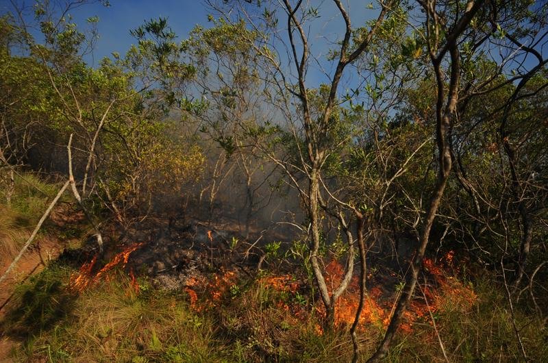 &Aacute;rea de mata fica em morro na zona Sul de Porto Alegre