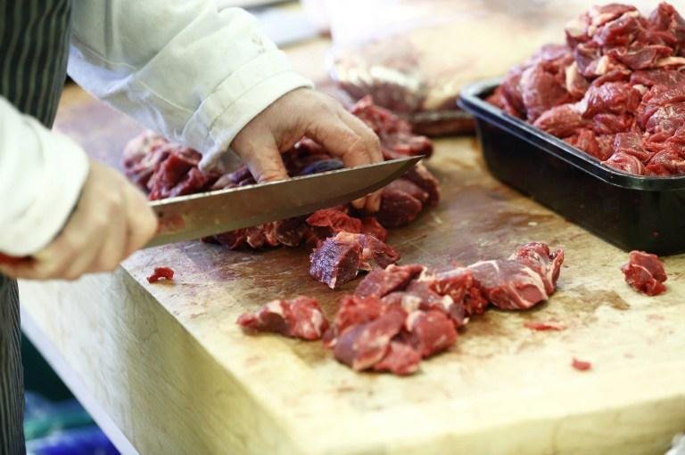 UE aprova testes de DNA para identificar carne de cavalo