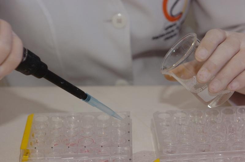 Pesquisa desenvolvida no RS busca criar tecido humano a partir de fibras
