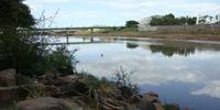 Rio do Sinos está com nível de água satisfatório, diz Semae