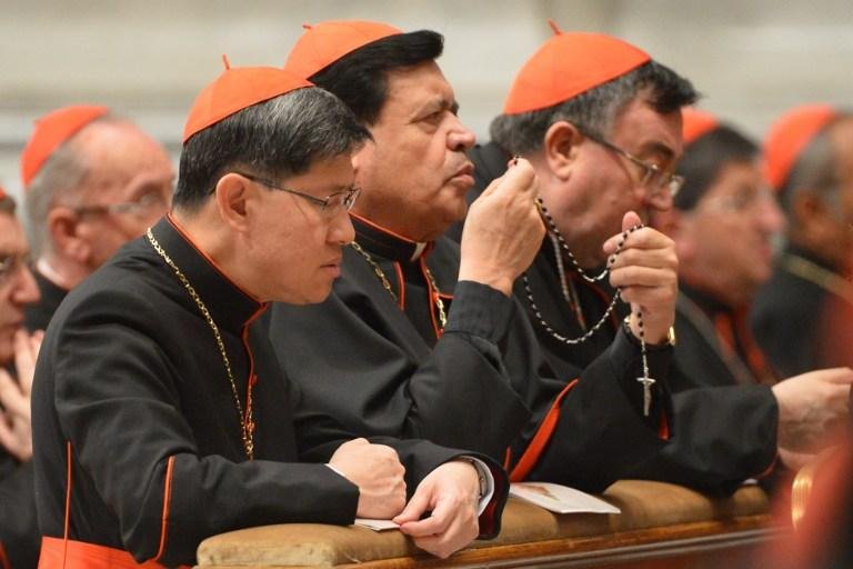 Cardeias est&atilde;o reunidos desde segunda no Vaticano